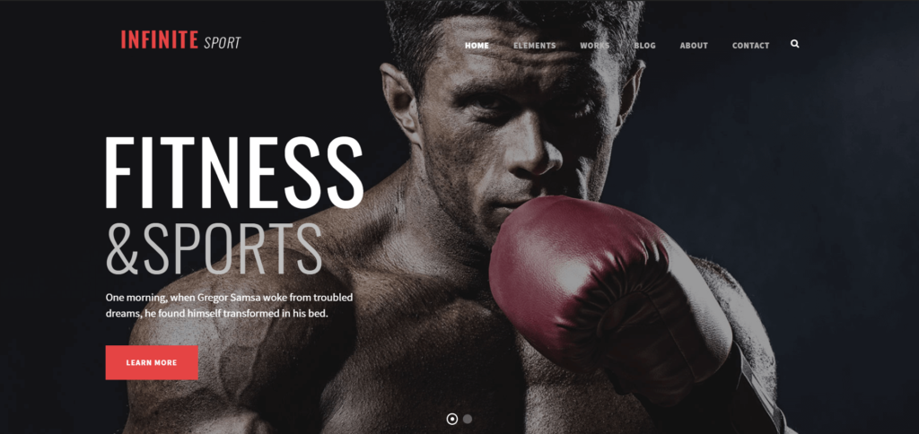 best multipurpose WordPress themes