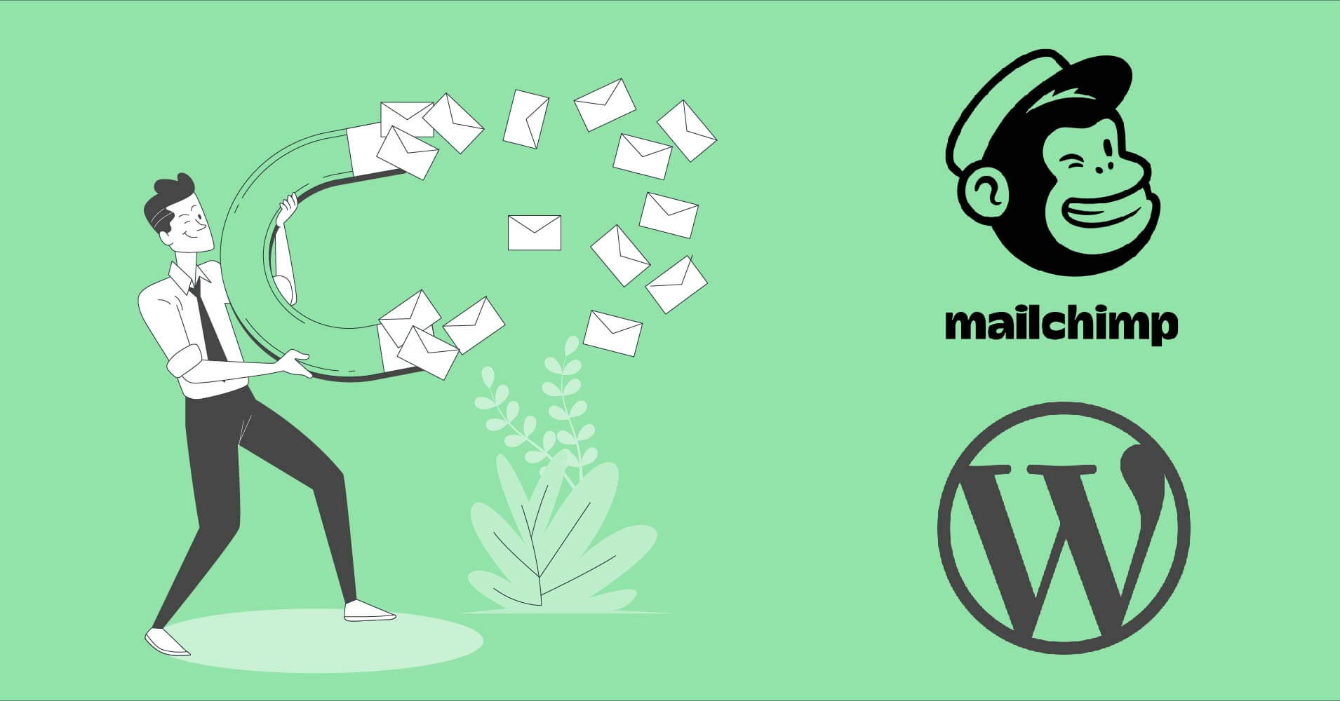 Mailchimp in WordPress Forms